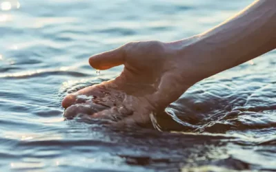 Jetzt ist die Zeit für Wasserfilter (1)