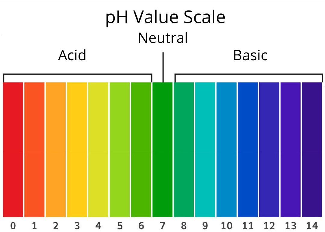 WhatsApp Bild 2024-11-12 um 14.10.15_a36e4e82